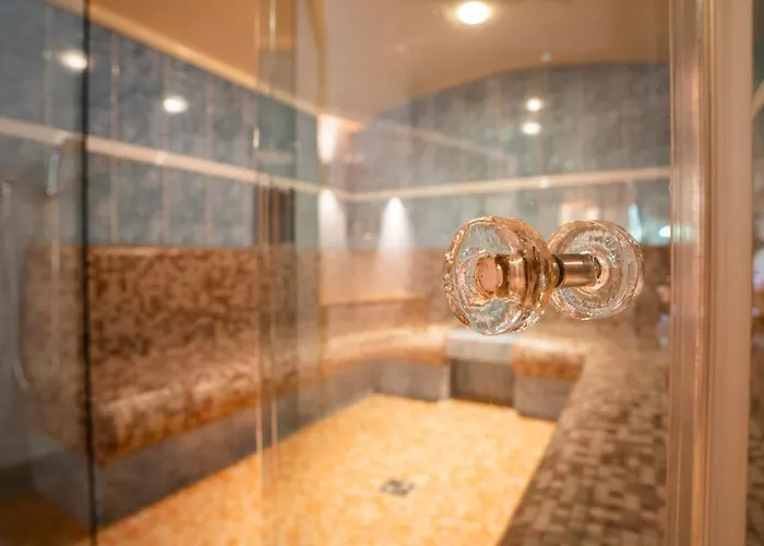 فندق Bergsporthotel Antonie غريس ام سيلراين