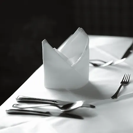 מלון Bergsporthotel Antonie 3*